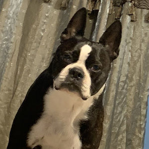 Meet your Posher, Psych Thrift